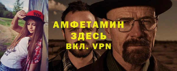 индика Надым