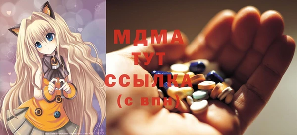 индика Надым