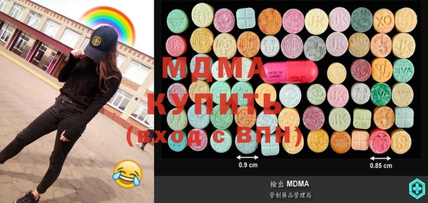 индика Надым