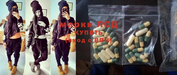 индика Надым