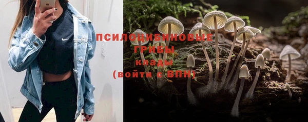 дурь Наволоки