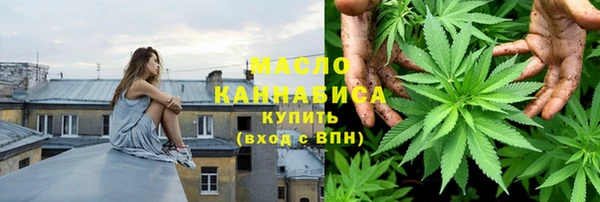 индика Надым