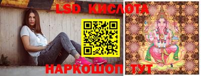 гидра Камышлов