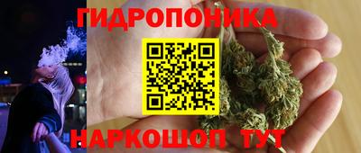 спиды Канаш