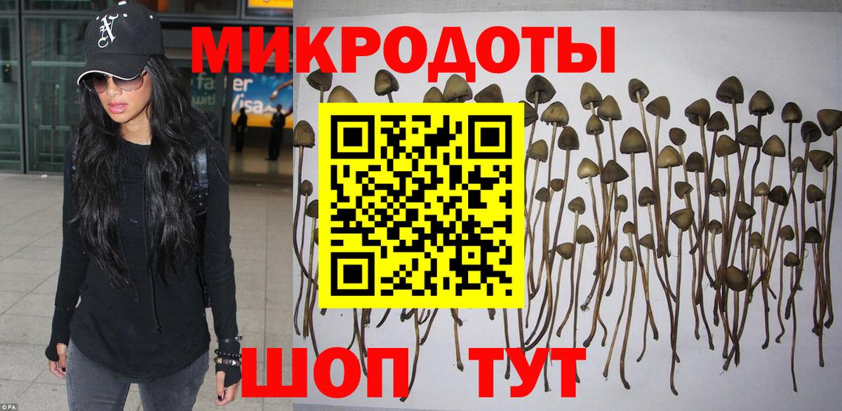 цена наркотик  Галлюциногенные грибы GOLDEN TEACHER  Вход с VPN  Канск 