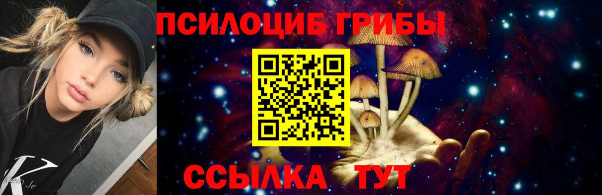 Псилоцибиновые грибы Psilocybine cubensis  Канск  Псилоцибиновые грибы мицелий 